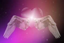 pink angel wings